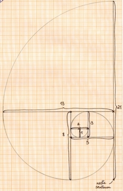Fibonaccispiralen.